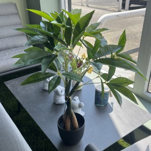 60cm Artificial Pachira Aquatica Tree (Money Tree)