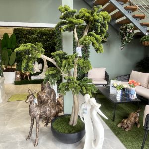 Bonsai in Semi-Circle Black Planter