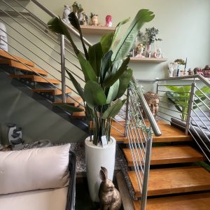 Palm Tree in Tall White Planter