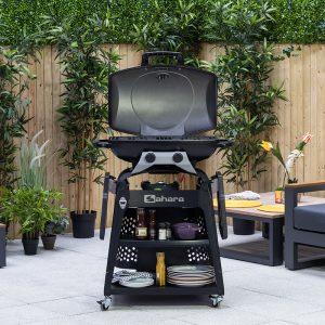 2 Burner Detachable Storm Gas BBQ